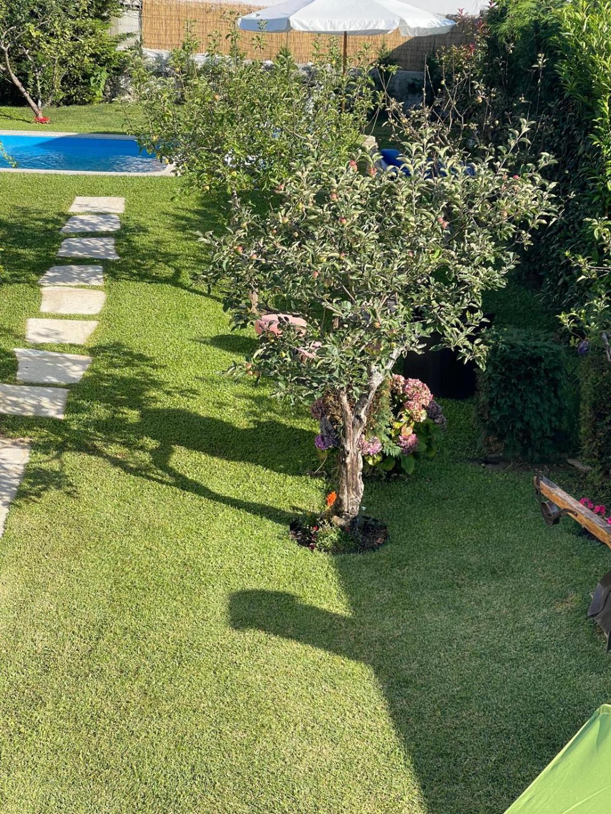 הוילה ויאנה דו קסטלו Casa Do Albano מראה חיצוני תמונה